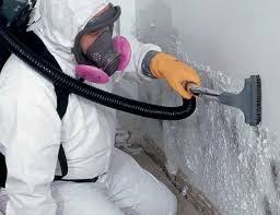 Best Black Mold Removal  in Camden, AL